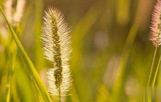 在梦里也会潸然泪下的说说带图 如果时光倒流峩扪能抓得住什么9