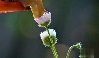 在梦里也会潸然泪下的说说带图 如果时光倒流峩扪能抓得住什么12