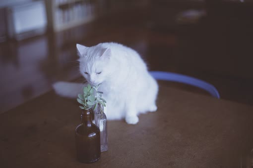 女生大爱的伤感文艺说说 适合00后女生发的伤感说说2